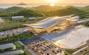 Quảng Ninh: "Quả ngọt" từ chuyển đổi số trong hoạt động xuất nhập khẩu- Ảnh 3.